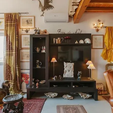 Le Nid Exotique - Vue Sur Les Toits Du Centre-ville Appartement