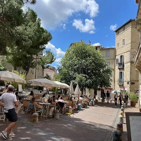 Le Nid Exotique - Vue Sur Les Toits Du Centre-ville Appartement Montpellier